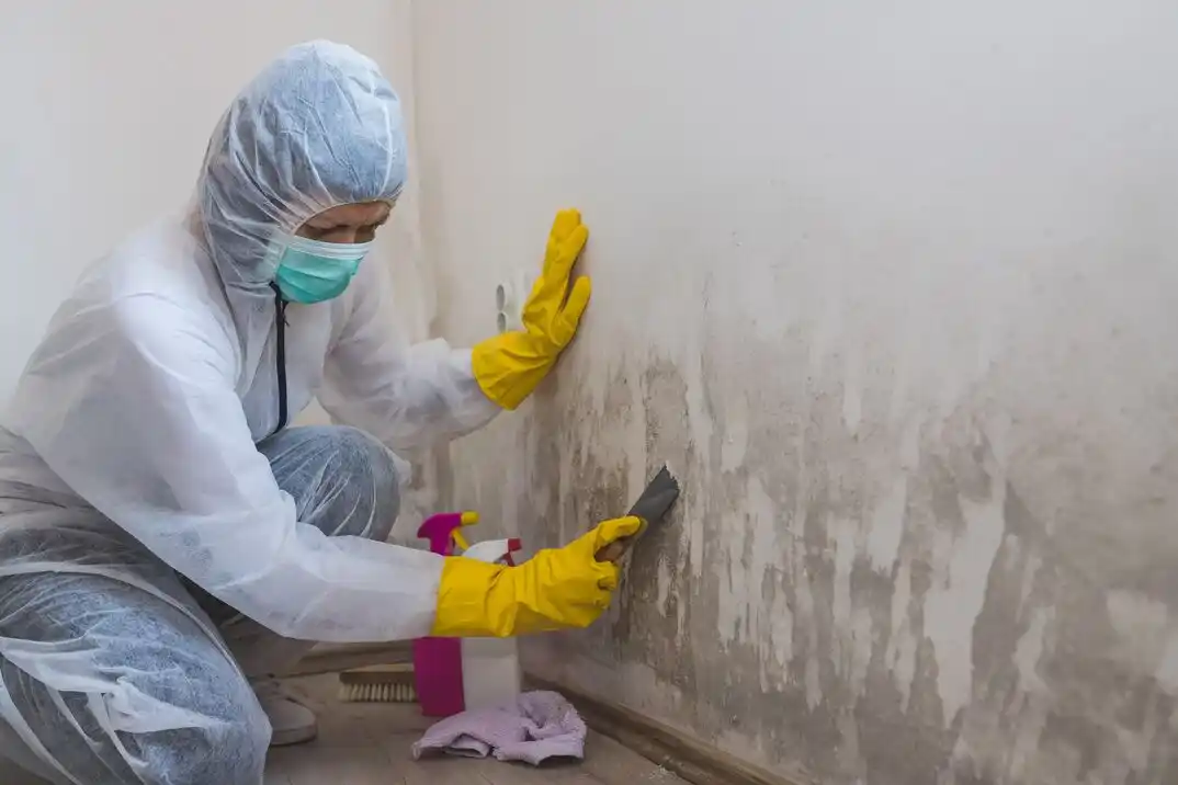 water damage restoration service Tokay